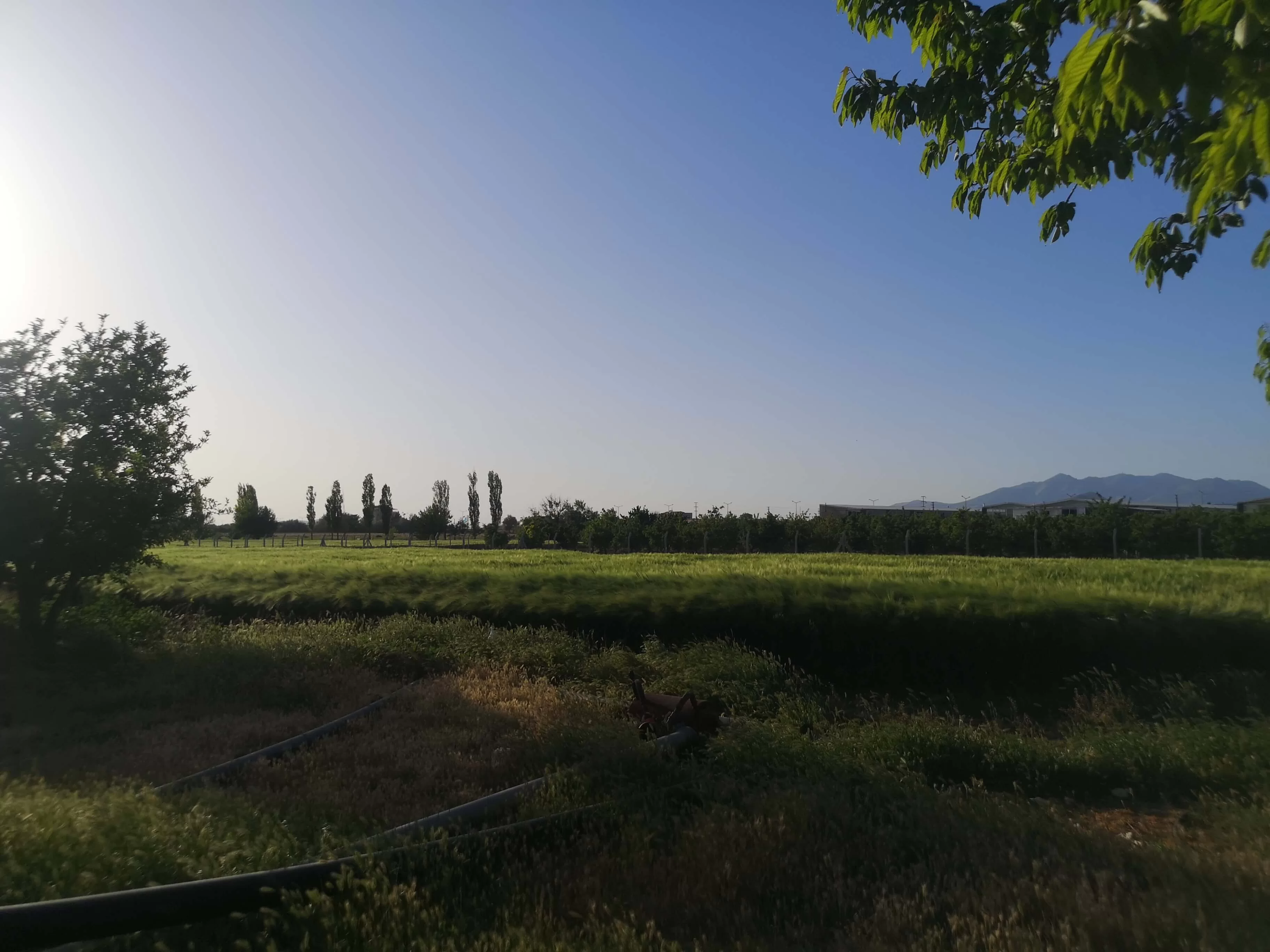 FATİH MAH.de SATILIK ARAZİ VE 2 KATLI BİNA