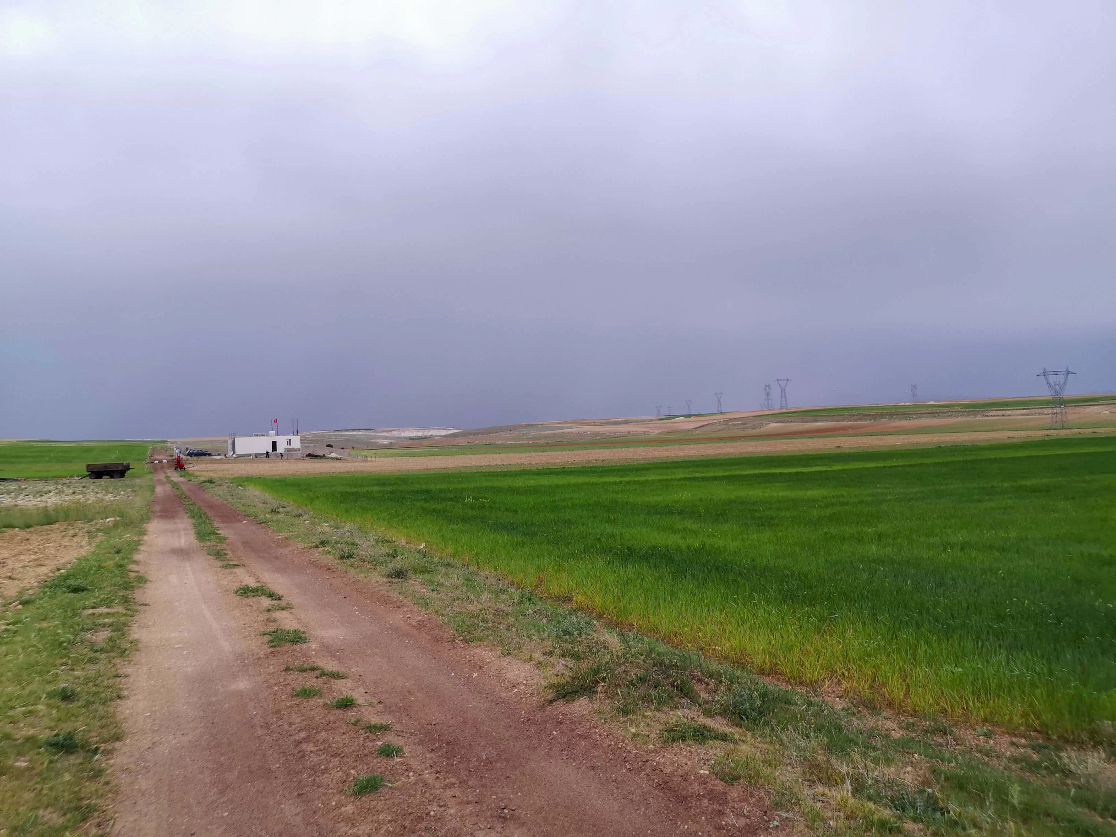 GÖNDERE' de 9 DÖNÜM SATILIK TARLA