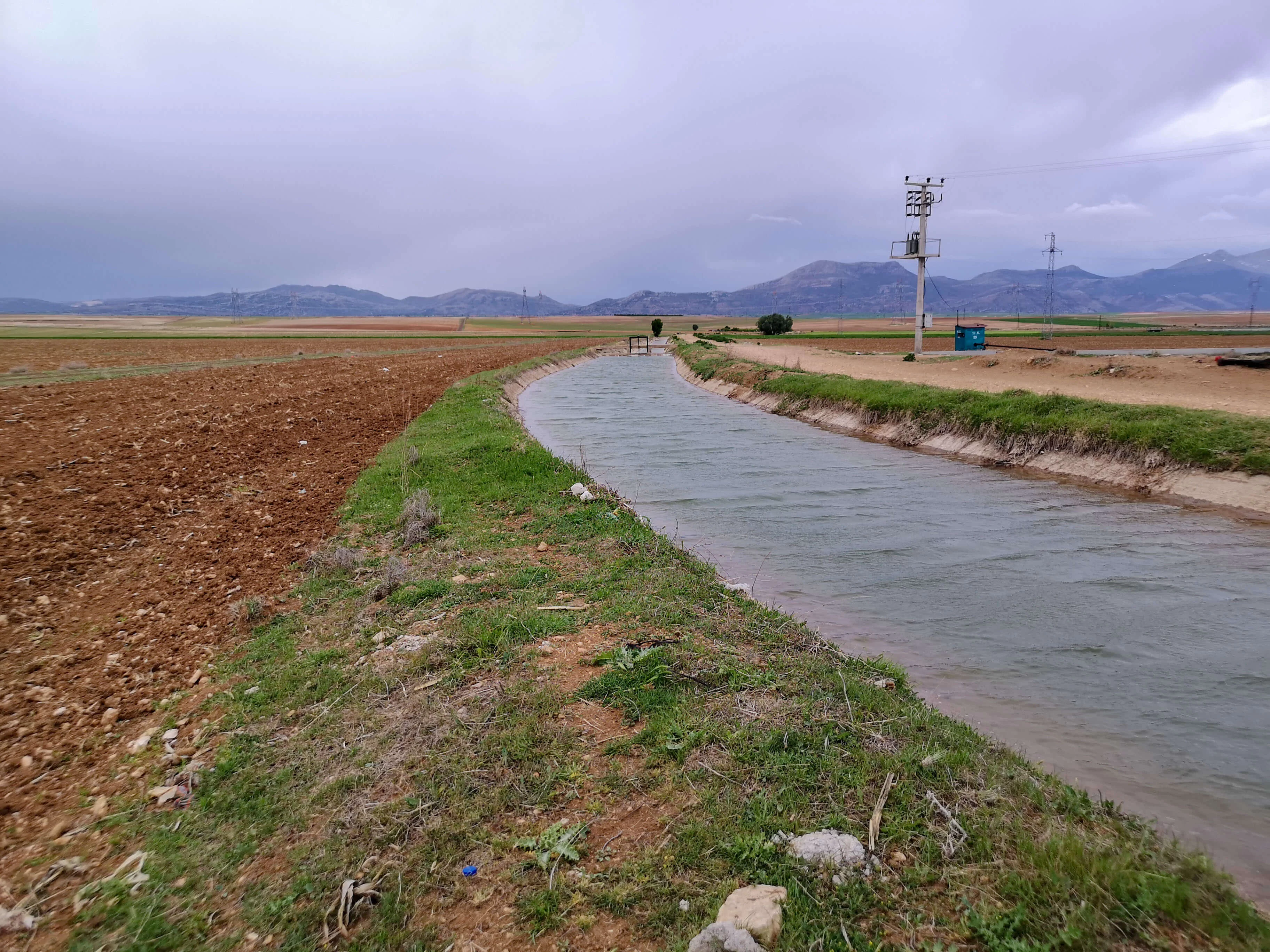 GÖNDERE' de 9 DÖNÜM SATILIK TARLA