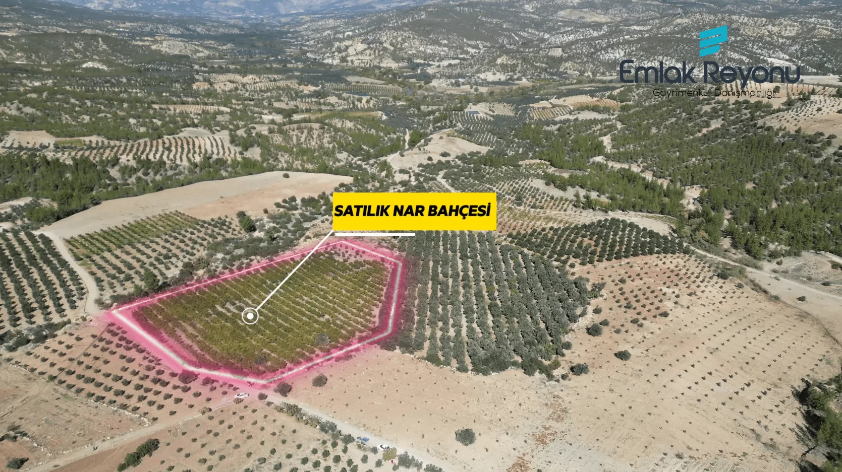 MUT IŞIKLAR KÖYÜ'NDE SATILIK NAR BAHÇESİ