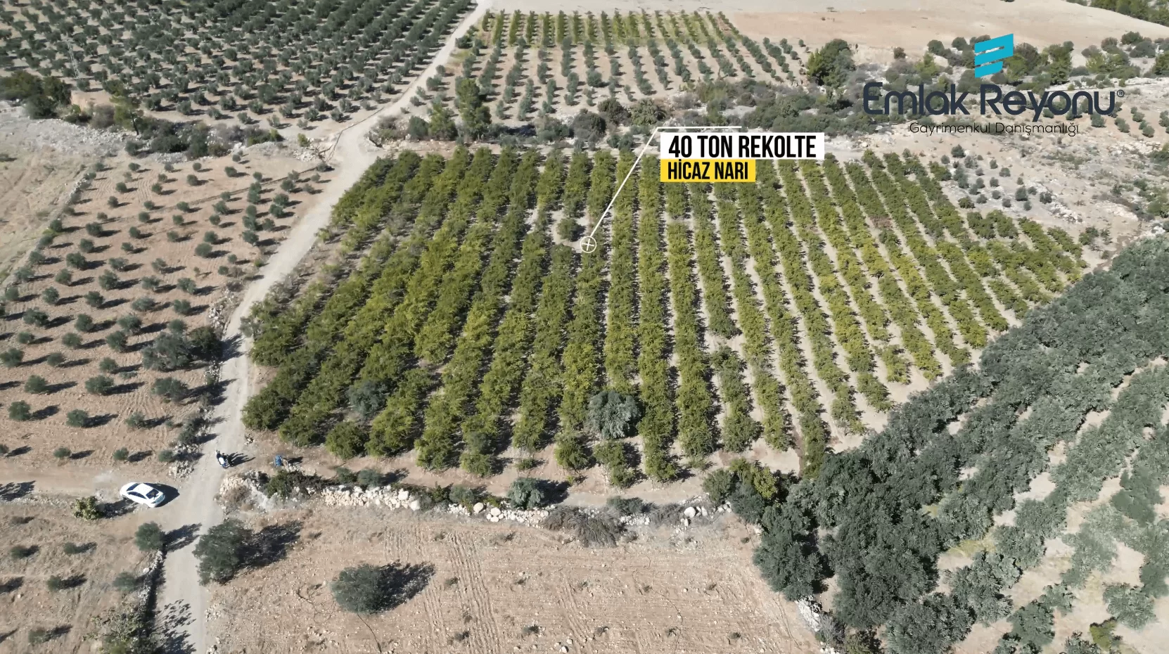 MUT IŞIKLAR KÖYÜ'NDE SATILIK NAR BAHÇESİ