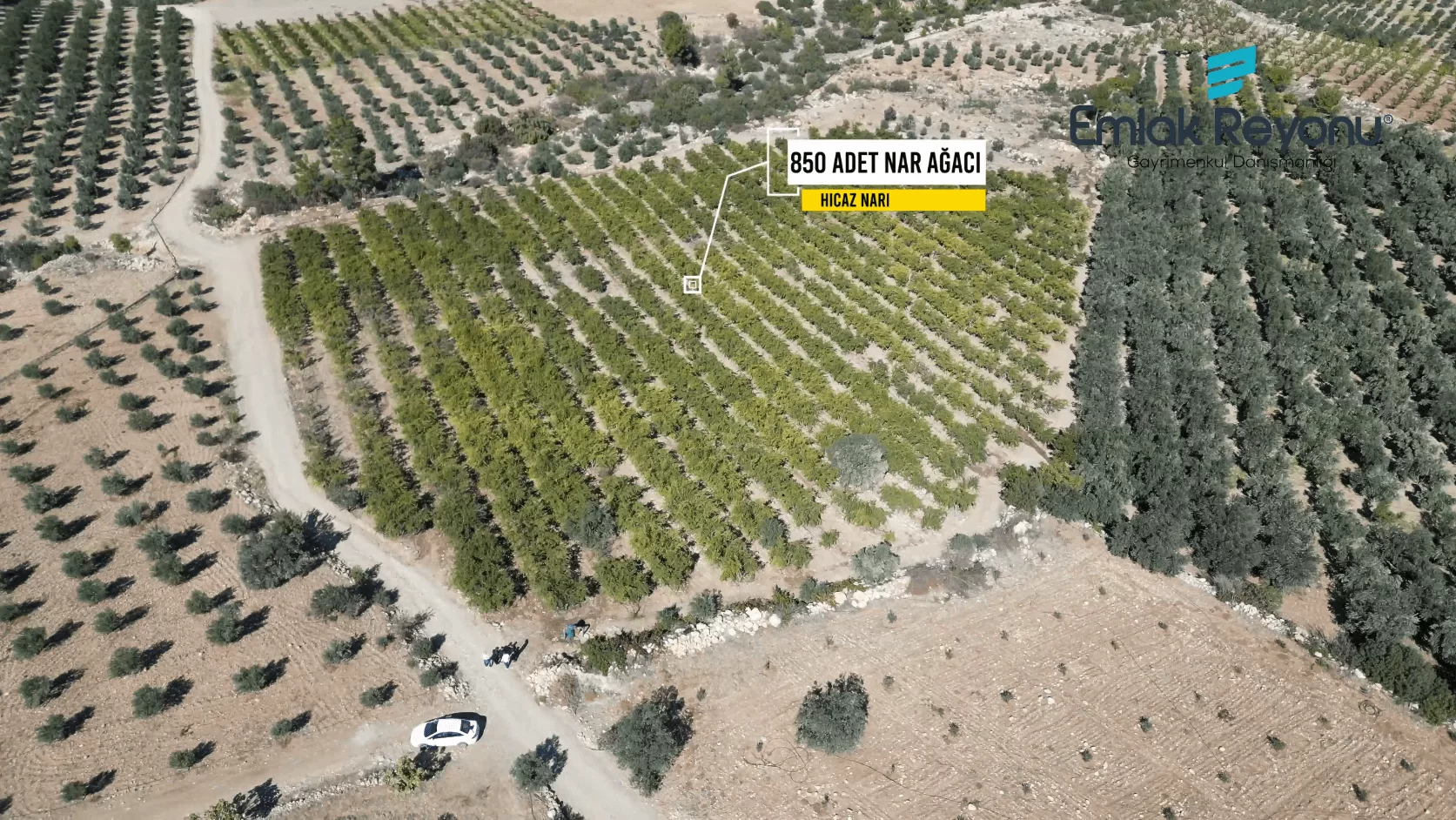 MUT IŞIKLAR KÖYÜ'NDE SATILIK NAR BAHÇESİ