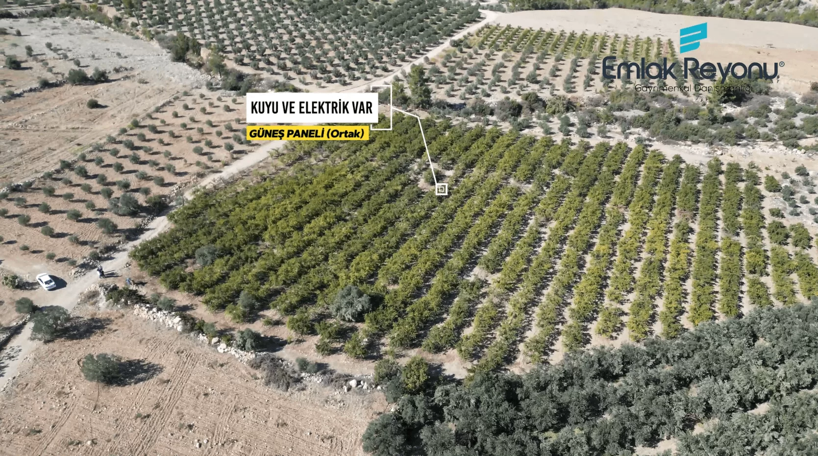 MUT IŞIKLAR KÖYÜ'NDE SATILIK NAR BAHÇESİ