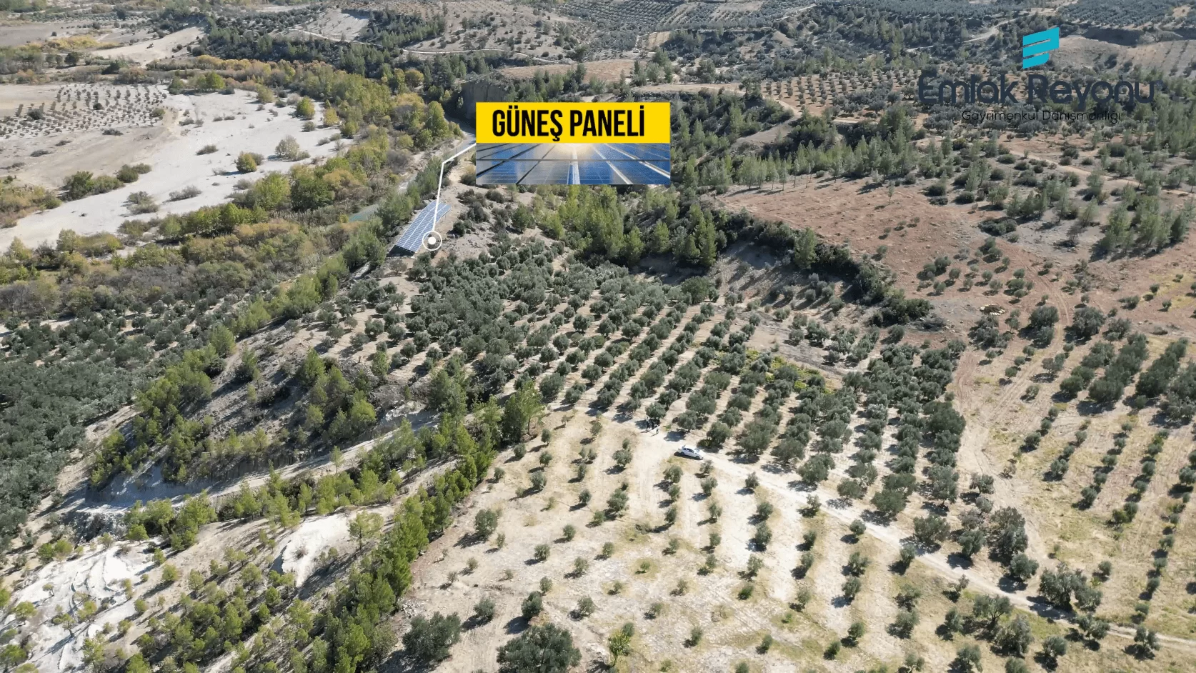 MUT IŞIKLAR KÖYÜ'NDE SATILIK ZEYTİN BAHÇESİ