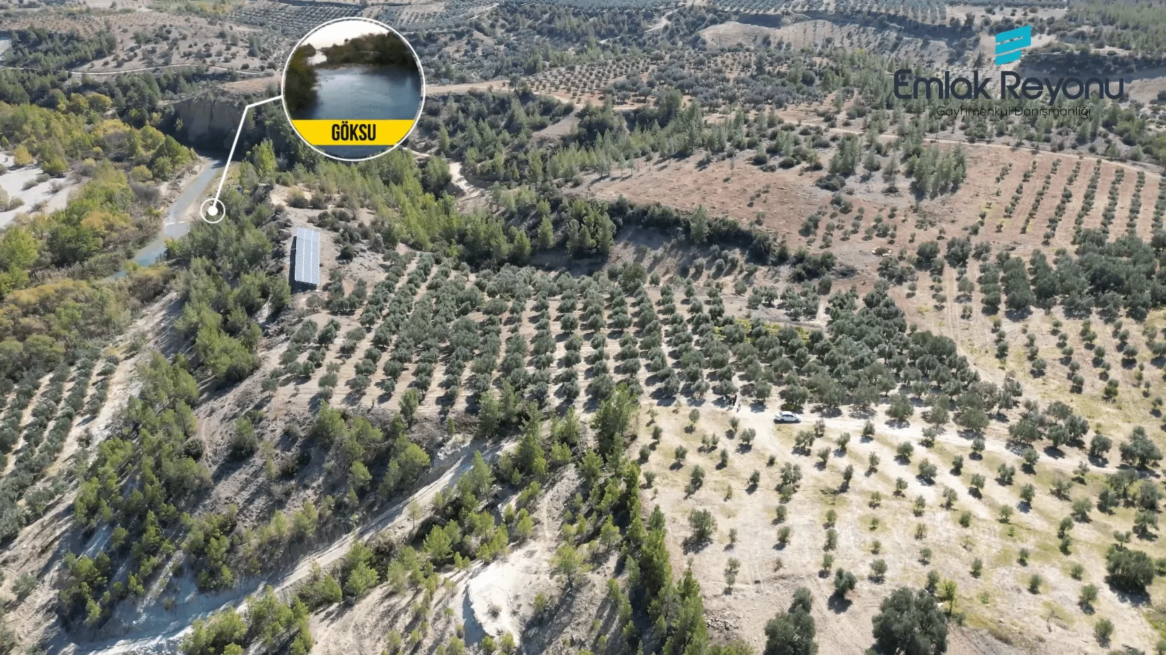 MUT IŞIKLAR KÖYÜ'NDE SATILIK ZEYTİN BAHÇESİ