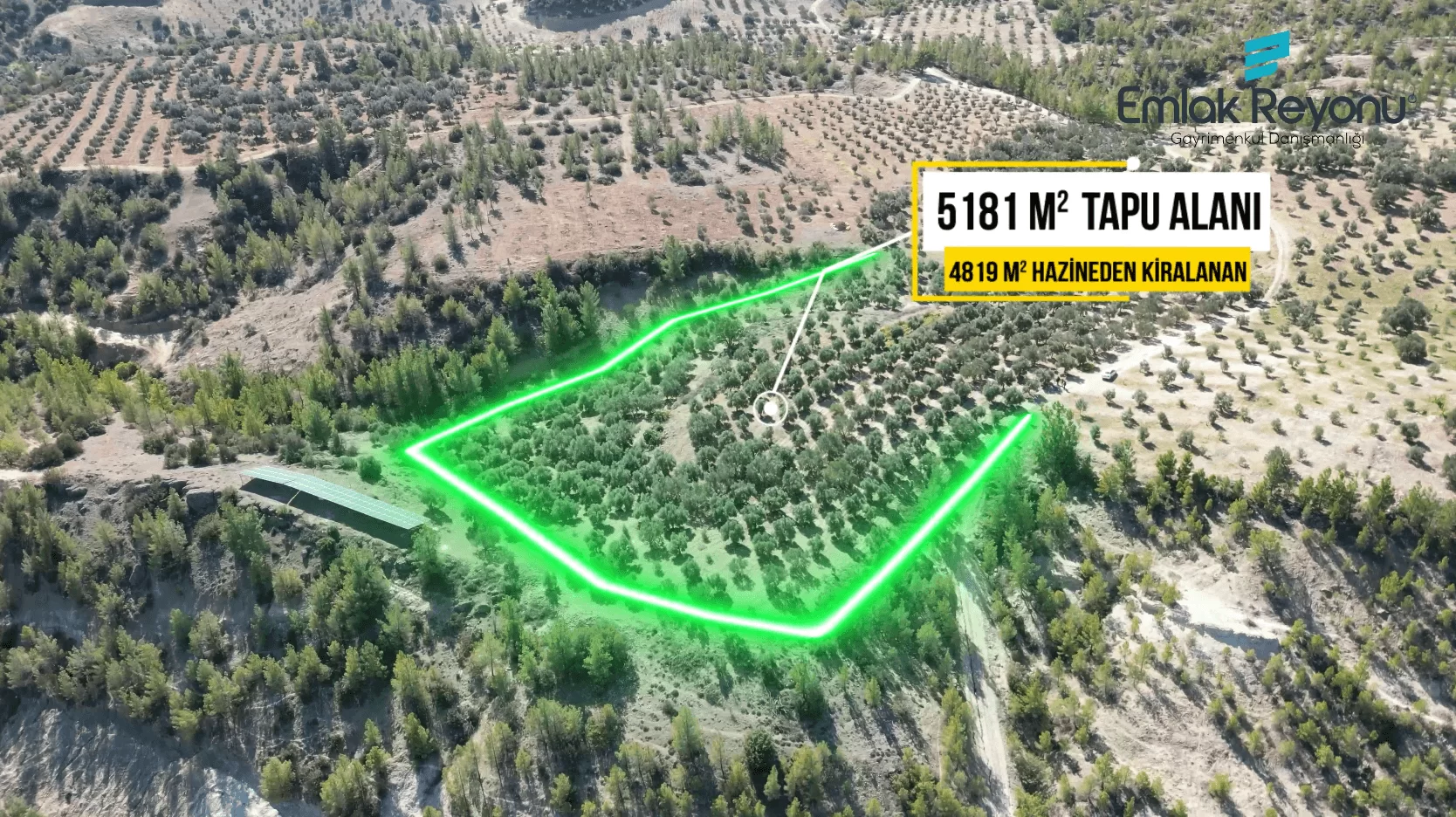 MUT IŞIKLAR KÖYÜ'NDE SATILIK ZEYTİN BAHÇESİ