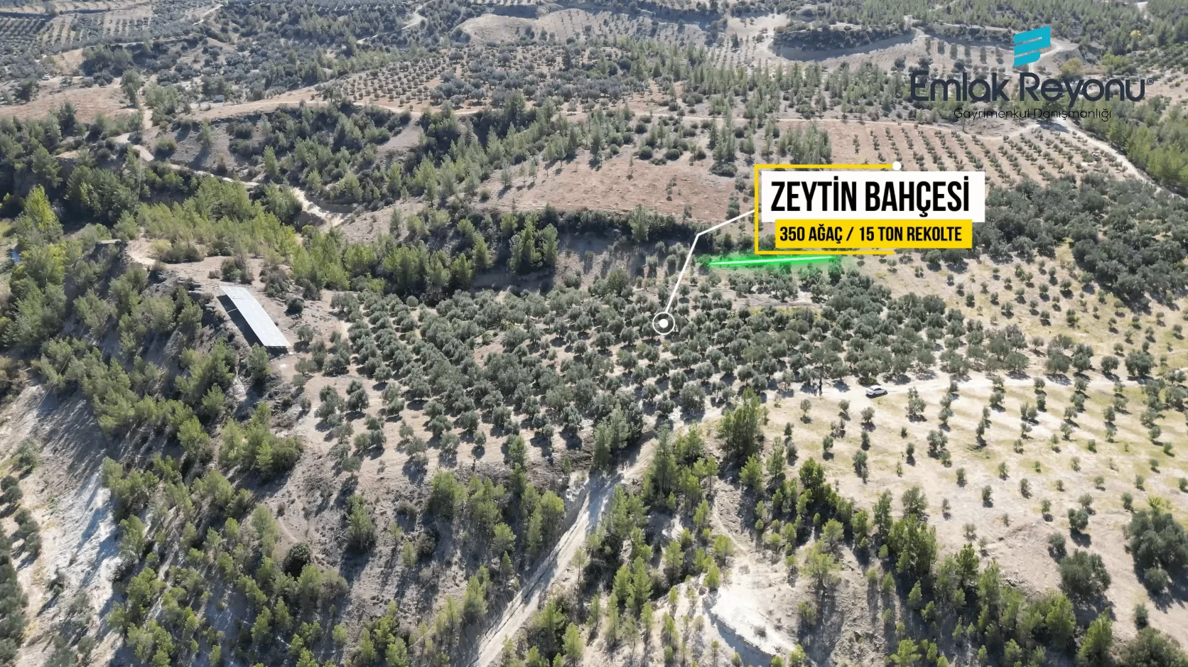 MUT IŞIKLAR KÖYÜ'NDE SATILIK ZEYTİN BAHÇESİ